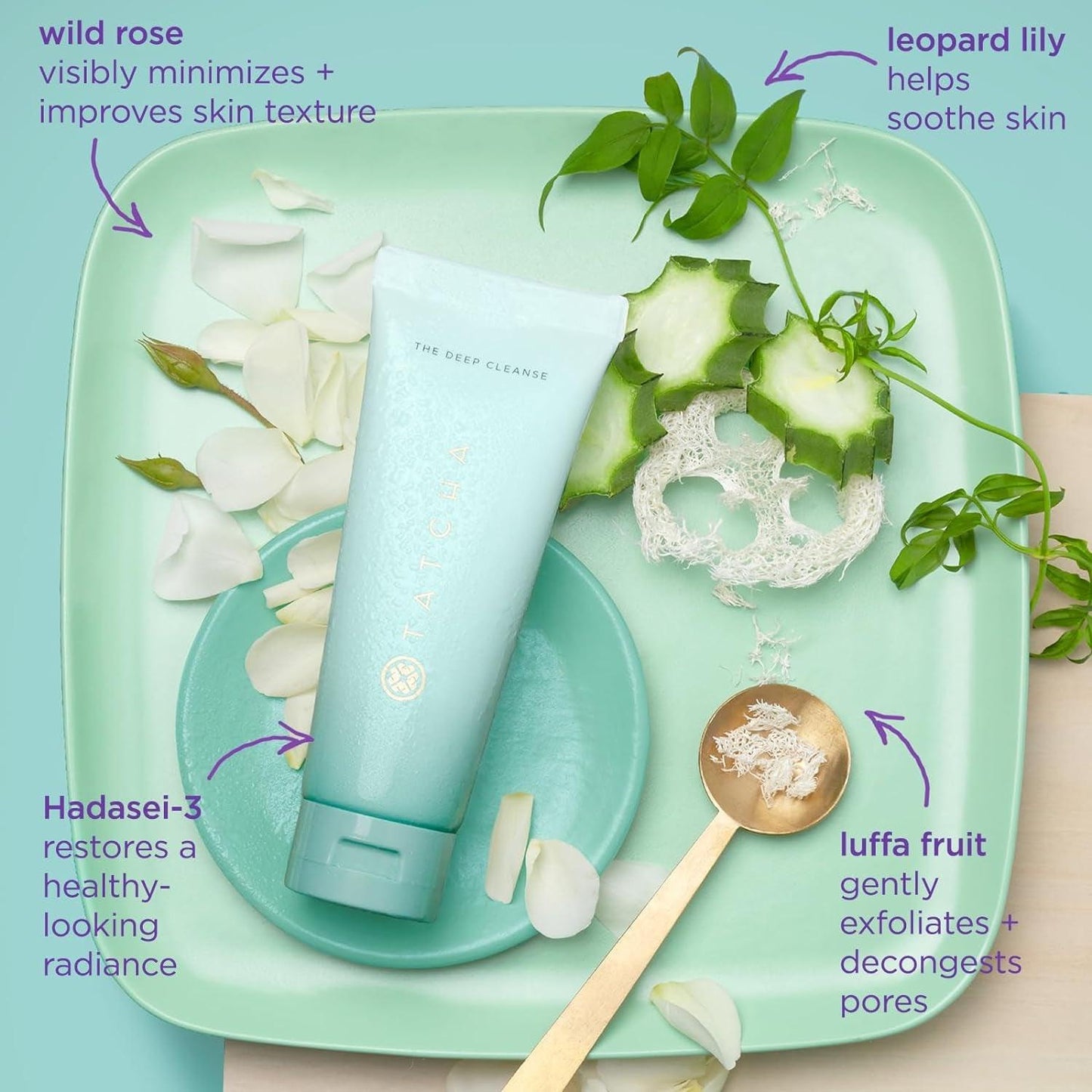 TATCHA the Deep Cleanse | Deep, Gentle Exfoliating Cleanser, Lifts Dirt, Minimizes Excess Oil & Unclogs & Tightens Pores - Jazz Beauty