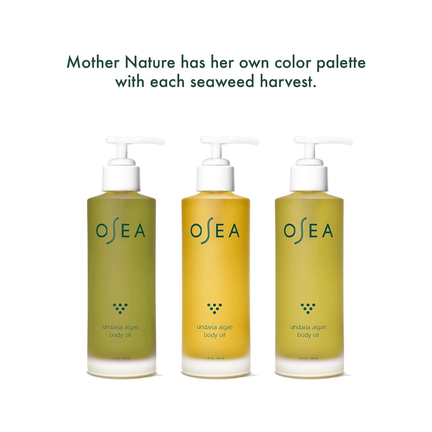 Undaria Algae Body Oil 5 Oz - after Shower Body Oil - Non-Greasy Body Serum & Fast Absorbing Skincare - Clean Beauty & Vegan Seaweed Body Moisturizer for Dry Skin - Jazz Beauty
