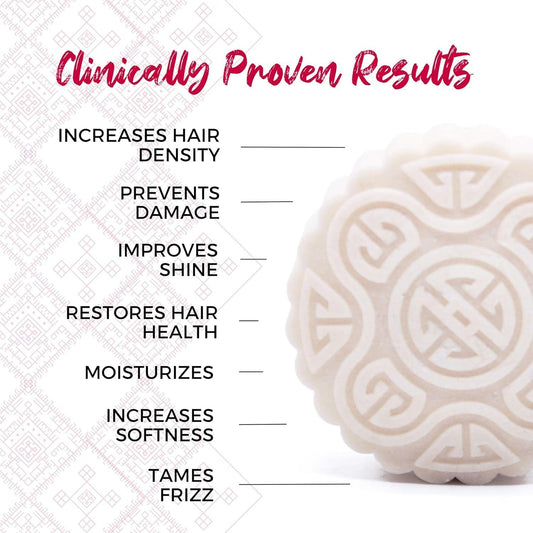 the Foundation Bundle - Citrus Yao Shampoo and Conditioner Set with Bamboo Holder - Rice Water Shampoo Bar and Conditioner Bar - Sulfate-Free, Vegan and Organic - Best for Normal to Oily Hair - Jazz Beauty