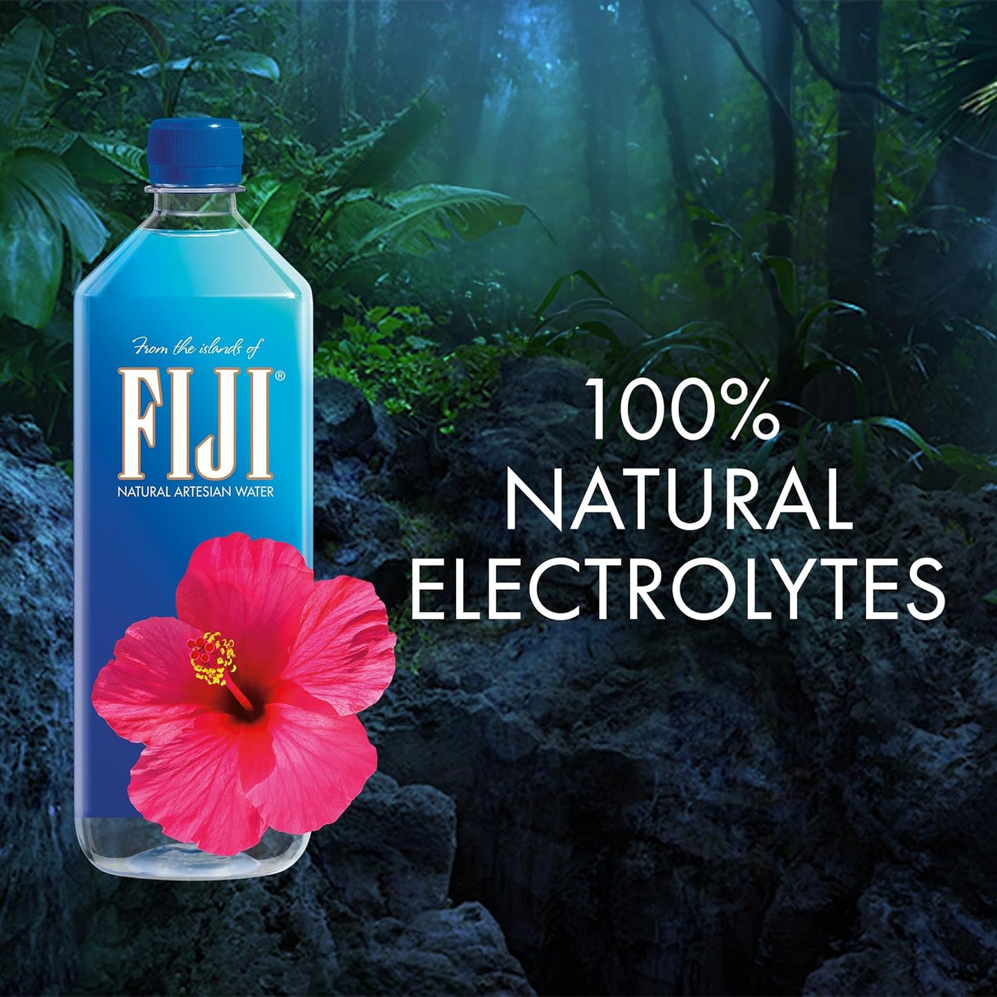 Natural Artesian Bottled Water 1 Liter / 33.8 Fl Ounce (Pack of 12) - 100% Natural Electrolytes