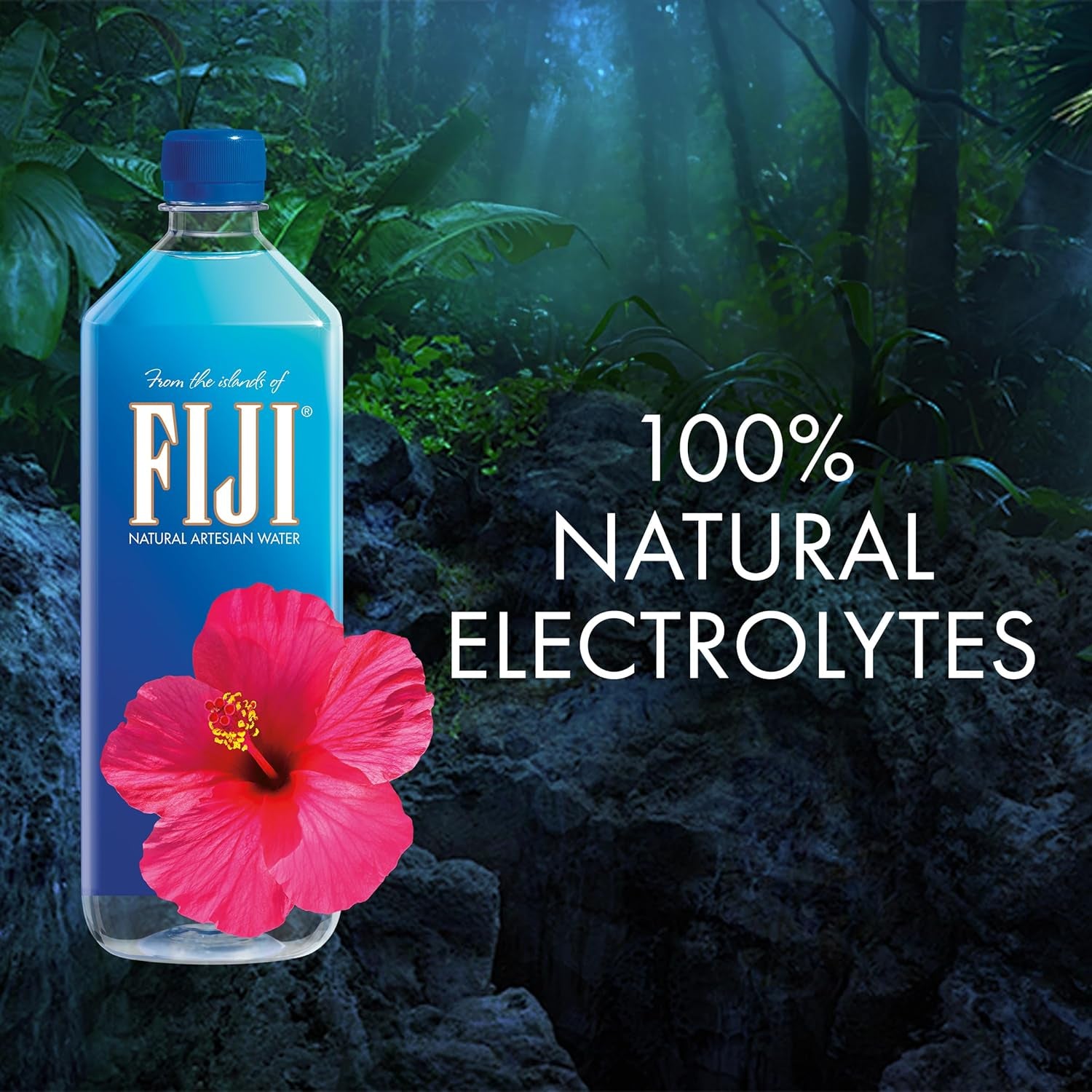 Natural Artesian Bottled Water 1 Liter / 33.8 Fl Ounce (Pack of 12) - 100% Natural Electrolytes