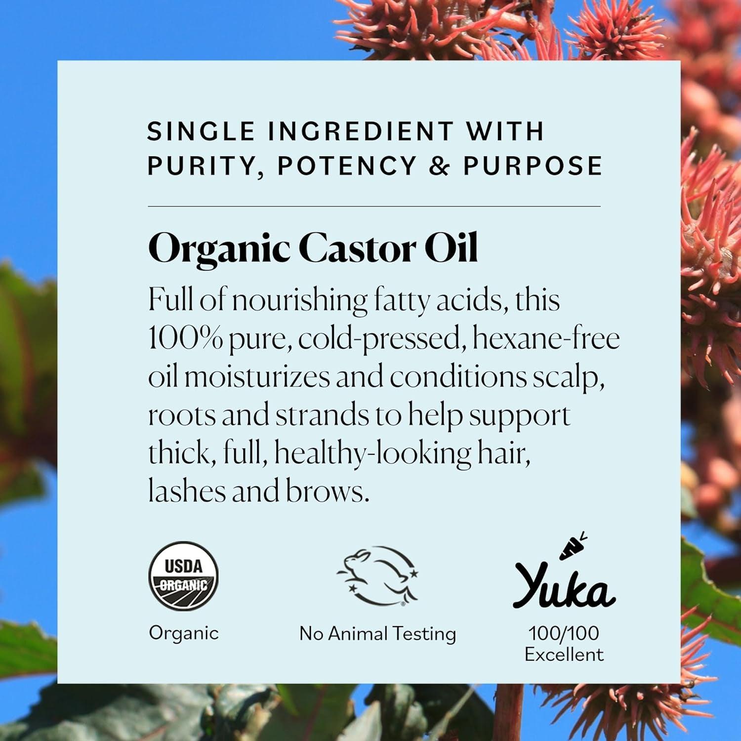 Organic Castor Oil, 100% Pure, Hexane Free, Cold-Pressed to Support Stronger, Fuller-Looking Hair, Eyelashes & Eyebrows,Good for Castor Packs, Navel Oiling, Carrier Oil Use, 16 Fl Oz - Jazz Beauty